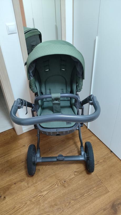 Kočík roan bloom green dots, roan,roan bloom