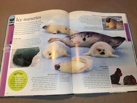 Dk ocean a children's encyclopedia nau22, 