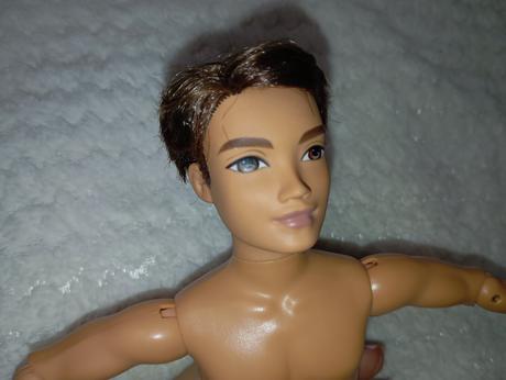 Barbie my scene chlapci ken, 