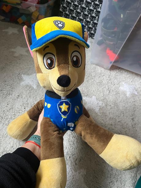 Velky chase labkova patrola, 