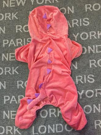 Kostym pre vacsieho psa dinosaurus, 