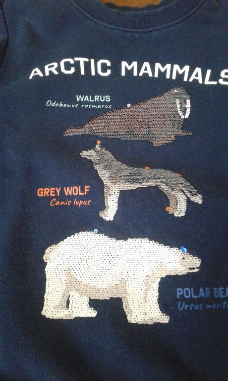 3 x mikina h&m, h&m,110