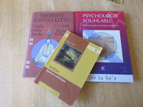 Tajomstvo zlateho kvetu, 