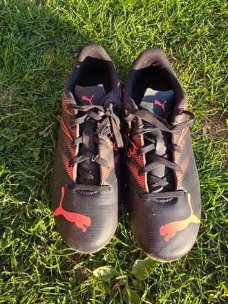 Kopacky puma, puma,34