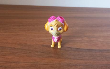Skye z labkovej patroly,
