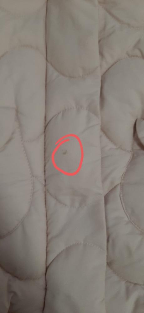 Prechodna bunda baby club 86, baby club,86