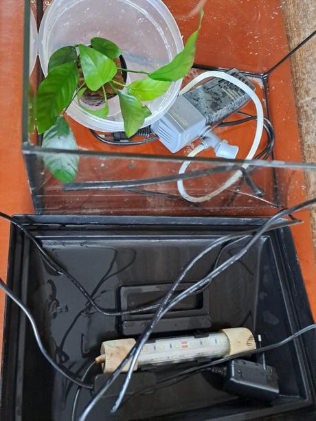 Akvárium s príslušenstvom, 