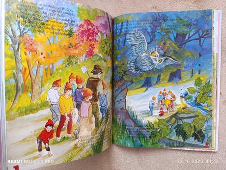 Krásna knižka rozprávky o vílach, 
