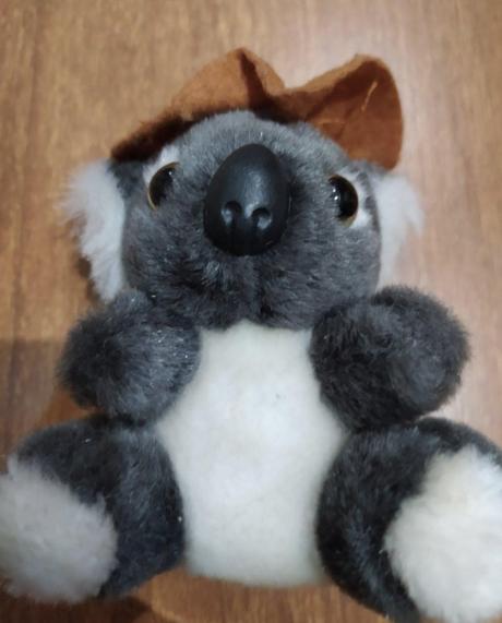 Koala, 