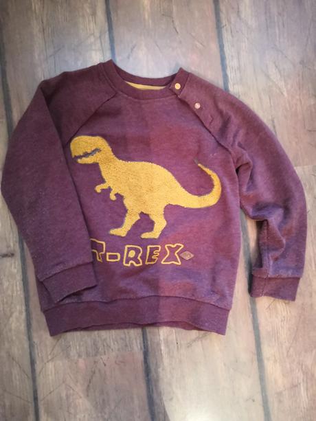 Mikina s dinosaurom, coccodrillo,116