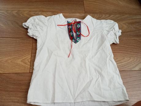 Folklórna košeľa, 110