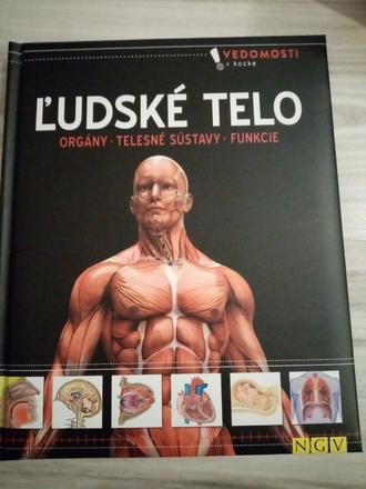 Ľudské telo, 