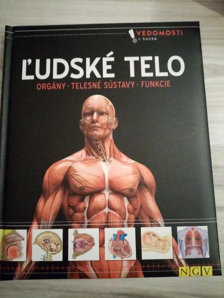 Ľudské telo, 