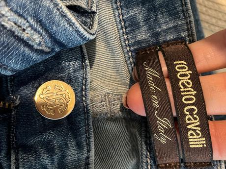 Roberto vavalli riflr, s