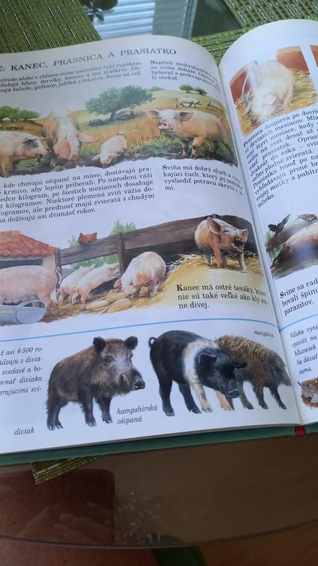 Kniha- chceš vedieť všetko o našich zvieratách., 