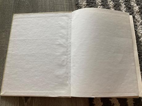 Dejiny slovenskej literatúry pre deti a mládež, 