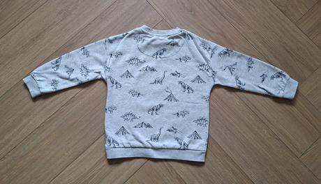 Chlapčenská mikina s dinosaurami, f&f,116