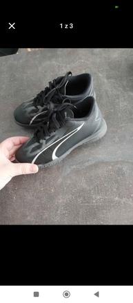 Halovky puma, puma,32