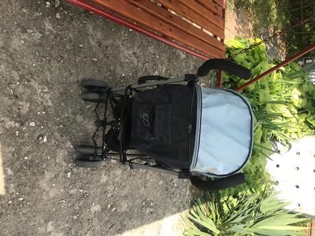 Golfový kočík, chipolino,chipolino sofia