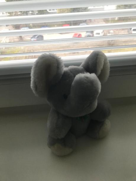 Slonik plysovy 18 cm výška,