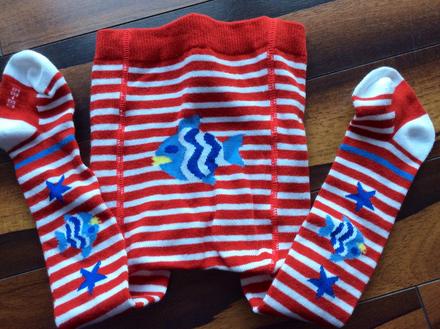 Bellinda pancusky , bellinda,80