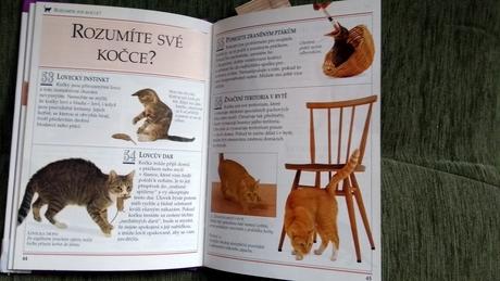 101 rád - jak pečovať o kočku,