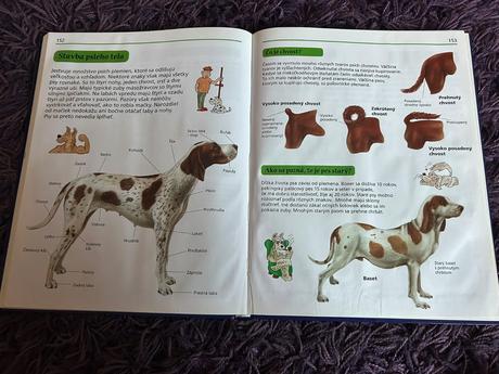 Encyklopédia pre školákov,