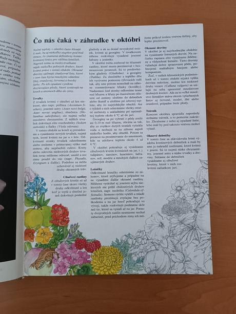 Jeseň v záhrade (1982), 