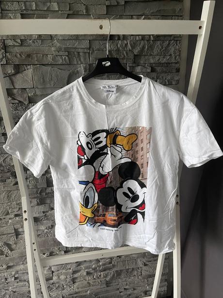 Zara v.s, zara,s