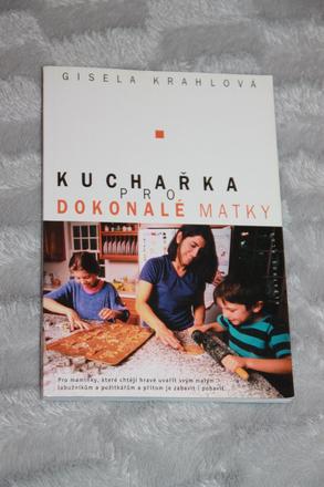 Kuchařka pro dokonalé matky, 