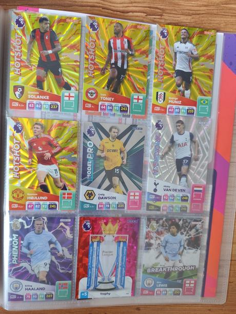 Premier league 2025 adrenalyn - panini,