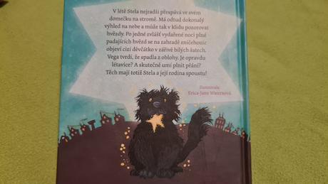 Kamarádka z oblohy, 