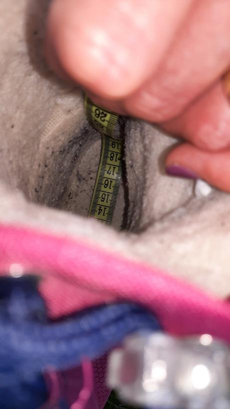 Snehule mckinley 31, mckinley,31