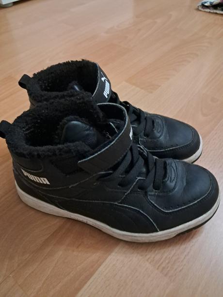 Botasky puma, puma,35