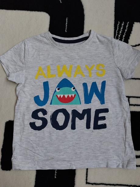 Tricko s napisom a zralokom, 110