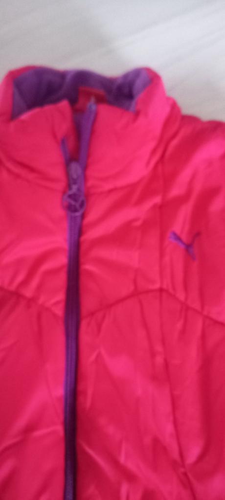 Puma bunda, puma,152