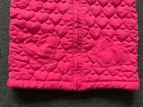 Prechodná vesta, topomini,86