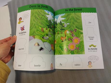 My french sticker dictionary nau24, 