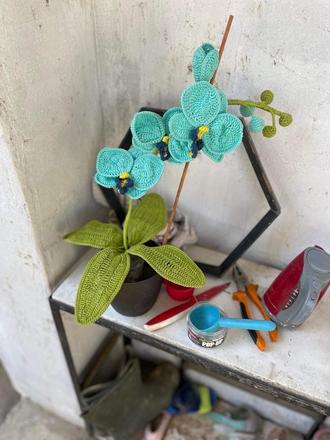 Háčkovaná orchidea,