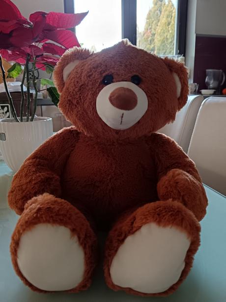 Rozpravajuci macko so svetielkom,