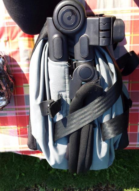 Concord wanderer, concord,concord wanderer