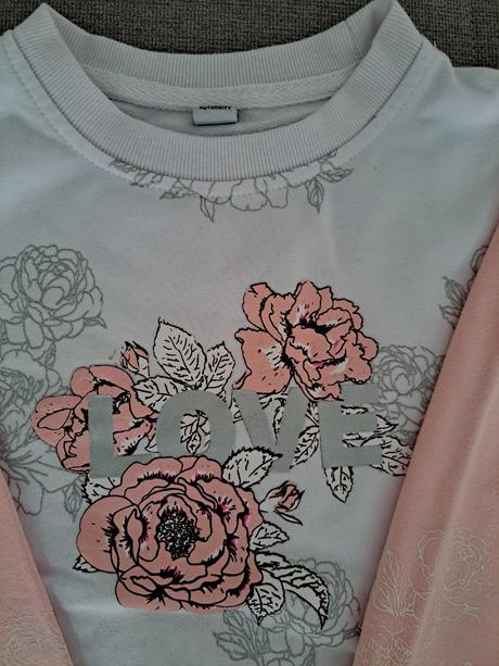 Mikina, authority,104