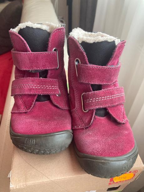 Filii himalaya, filii,25