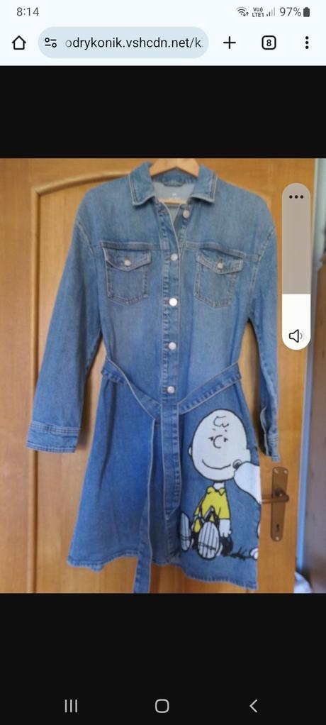 Neskutocny kabatik, m