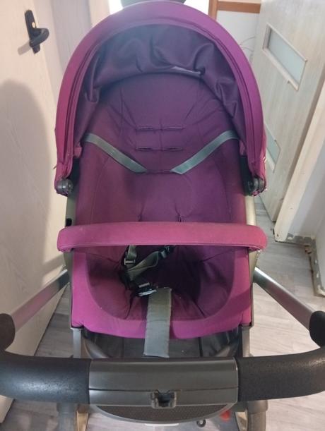 Kocik stokke crusi, stokke,stokke crusi