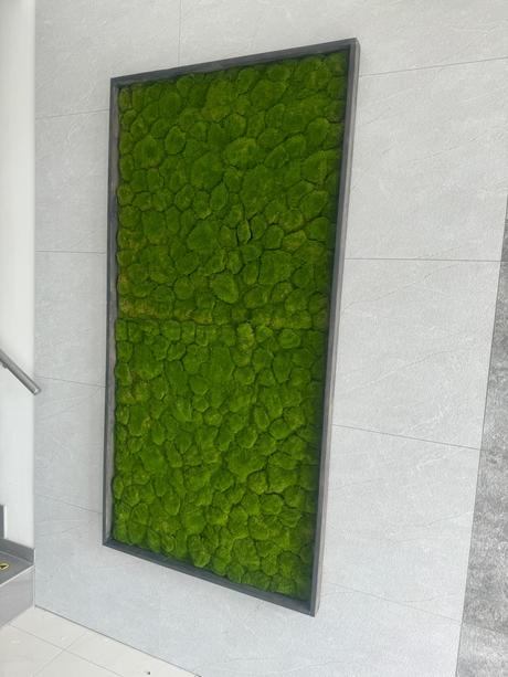 Machovy obraz s kameňmi 1x2m,