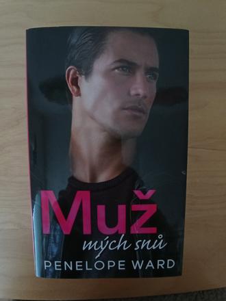 Kniha muž mých snů penelope ward,