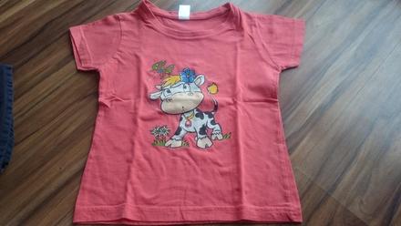 Tričko zo švajčiarska, 110