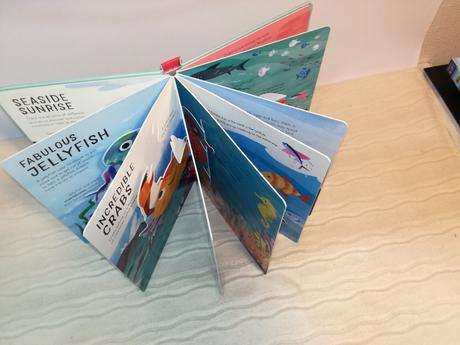 Curious kids pop ups sea & shore nau20, 