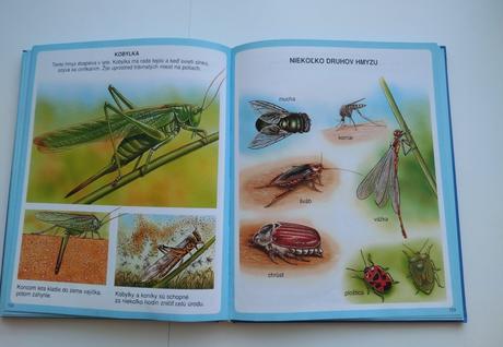 Nové obrázky zvierat, 